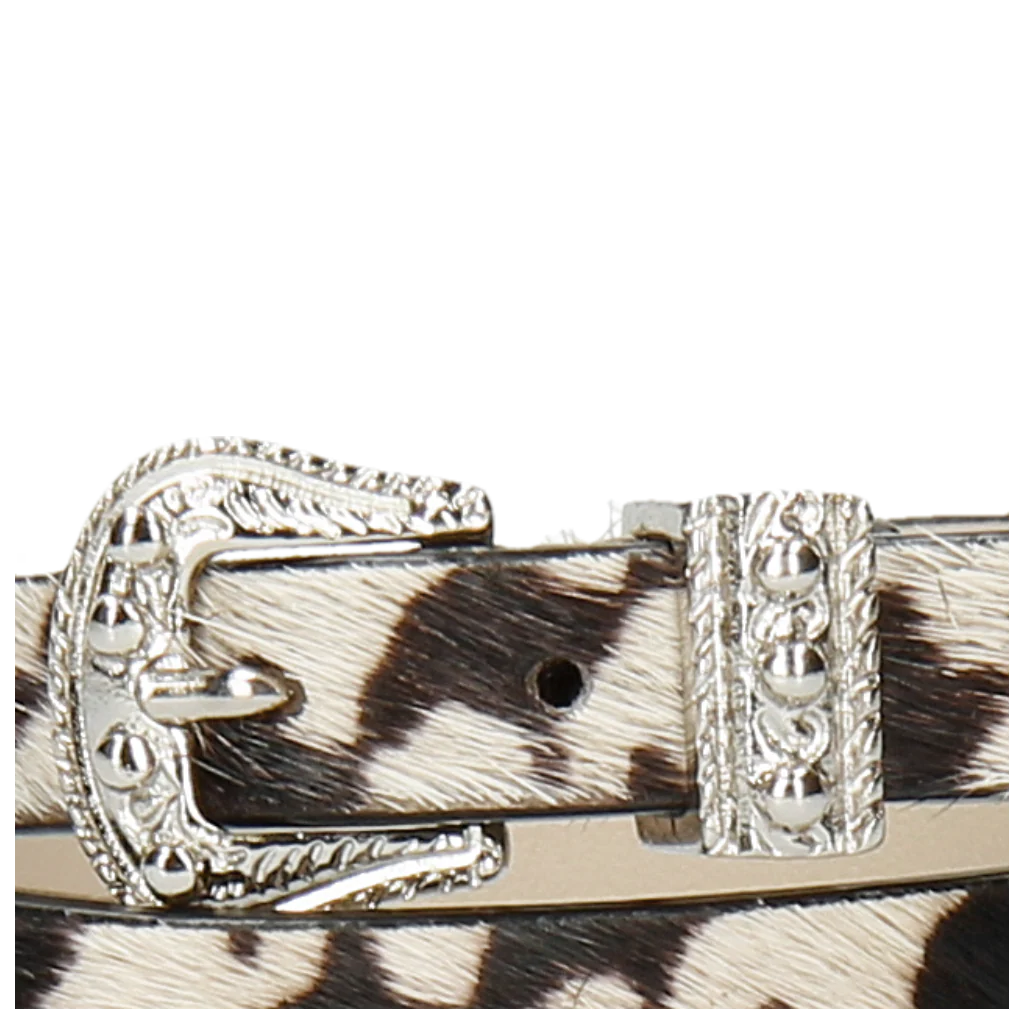 Miniature 5